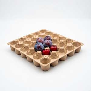 Fruit Packaging Eco-Friendly Anti Break Compostable Molded <b>Pulp</b> Tray Fresh Fruit Tray From Vietnam Manufacturer Paper Boxes - Product Image 2