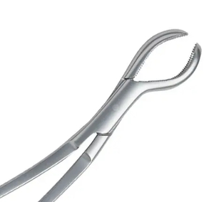 Pince chirurgicale orthopédique en acier inoxydable pour traumatismes osseux, modèle Burns, certifiée CE ISO, OEM, marque privée - Product Image 3