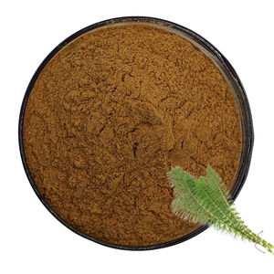 Polvo de Cola de Caballo 100% Natural de Alta Demanda OEM, Grado Cosmético Herbal, Polvo de Equisetum arvense para el Cuidado de la Piel y el Cabello - Product Image 2