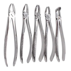 Pinzas Endodónticas Dentales de Alta Calidad, Acero Inoxidable, Logotipo Personalizado, Último Diseño, Java Surgical - Product Image 2