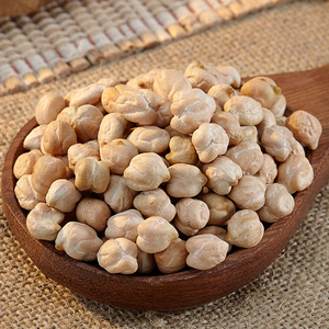 Extracto de Garbanzo en Polvo a Granel, Extracto Vegetal Estandarizado, Fabricante de la India - Product Image 1