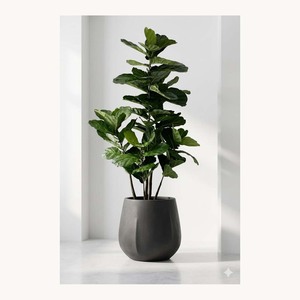 Maceta Decorativa de Metal Color Negro Hierro Premium, Maceta de Flores de Diseño Elegante y Moderno, Tamaño Personalizado - Product Image 1