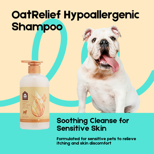 Garantía de calidad, champú suave para el cuidado del perro, Material de tela calmante para pieles sensibles para cachorros - Product Image 2