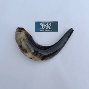 Auténtico Shofar de cuerno de carnero ecológico hecho a mano de alta calidad, artesanía pulida para ceremonias religiosas y oración ritual - Product Image 6