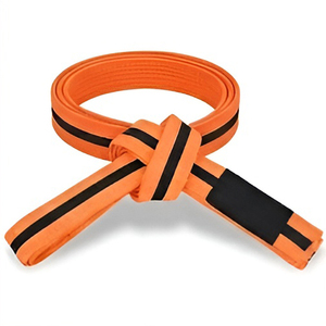 Cinturones de Taekwondo de Algodón con Diseño de Rayas de Color Personalizables, Cinturones de Karate de Doble Costura para Entrenamiento Avanzado, Ropa de Artes Marciales Unisex - Product Image 6