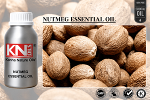 Aceite Esencial de Nuez Moscada 100% Natural Puro al Por Mayor, ¡Mejor Precio! Fabricante y Mayor Productor de la India - Kanha Clove Jasmine - Product Image 2