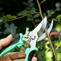 Sécateur de jardin, ciseaux de taille pour arbres fruitiers et arbustes, outils de jardinage