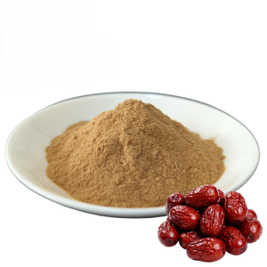Poudre de datte à mailles fines de haute qualité, édulcorant naturel à base de fruits, matière première, poudre de datte, marque privée, emballage personnalisé, fournisseur en gros - Product Image 5