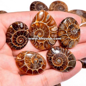 เครื่องประดับอัญมณีแอมโมไนต์ทรงหลวม - Product Image 4