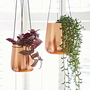 Jardinière murale simple en métal finition cuivre pour la décoration de cuisine, entrée, balcon, fenêtre et jardin - Product Image 4