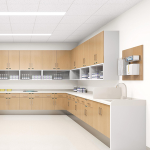 خزانة حائط صرف طبية حديثة للمستشفى - Product Image 5