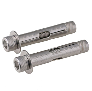 Stainless Steel Anchor Bolt with Plain Finish Strong Steel Expansion Anchors Drop-In Anchor Bolt - Product Image 4