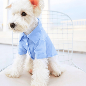 Knitted <b>Dog</b> Jacket Warm Winter Pet <b>Clothes</b> for Small and Large <b>Dogs</b> - Product Image 3