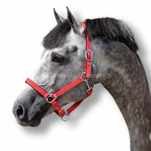 Accesorios Completos: Juego de Cuerdas y Cabestros para Caballos, Ponis Pequeños y Grandes, Suministros Ecuestres de Nylon, Estilo Silla de Montar Western - Product Image 1