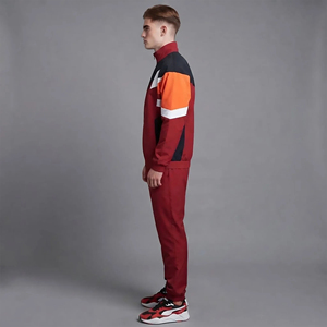 Ensemble de survêtement pour homme, style sportif, col montant, fermeture éclair intégrale, color block, 100 % polyester, coupe classique, avec poches latérales, ensemble deux pièces. - Product Image 2
