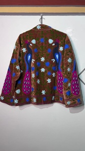 Veste en velours brodée de style chinois, col mandarin, manches longues, motif floral de paon brodé à la main, coupe ample, vêtement d'hiver - Product Image 2
