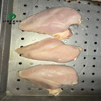 Poitrine de poulet halal premium congelée pour la vente en gros