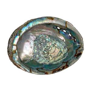 Quality Vietnam abalone shells for fine jewelry inlay luxury <b>watch</b> dial manufacturing colorful iridescent mother of <b>pearl</b> - Product Image 4