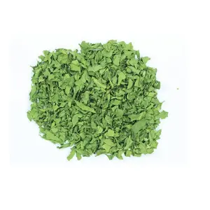 Polvo de Espinaca Secado por Aspersión - Polvo Verde Rico en Hierro y Calcio, Alto en Proteínas, Nombre Científico Spinacia Oleracea, para Smoothies/Batidos - Product Image 4