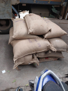 Mejor Precio: Café Verde Robusta de Vietnam Dak Lak, Grado AA, 100% Natural, Color Natural, Sabor Neutro, Sin Alérgenos, Bolsa de Yute de 60 kg - Product Image 4