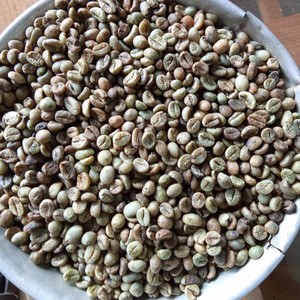 Grains de café Robusta du Vietnam Taille 16 AA+ Saveur riche et corsée Grains de café torréfiés Catégorie de produit Approvisionnement direct usine - Product Image 6