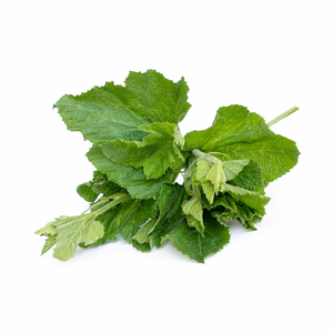 Hojas de Calabaza Congeladas Naturales Puras, Vegetal Verde a Base de Plantas, Alimento de Etiqueta Limpia para Exportación/ Sra. Alina - Product Image 3