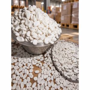 Fournisseur Malaisien – Excellent Prix – Masterbatch de Malaisie – Matière Première Carbonate de Calcium – Granulés – Couleur Naturelle – Pour Soufflage de Films - Product Image 1
