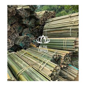 MATERIALES DE BAMBÚ ECOLOGICOS EN OFERTA: Tiras Flexibles de Bambú para Manualidades y Fabricación de Cometas, Proveedor Global al por Mayor - Product Image 1