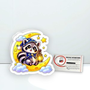 Lindas Placas Magnéticas Acrílicas para Pestañas con Forma de Diamante y Rectángulo Estilo Mapache - Herramientas Reutilizables y Ecológicas para Extensión de Pestañas - Product Image 6