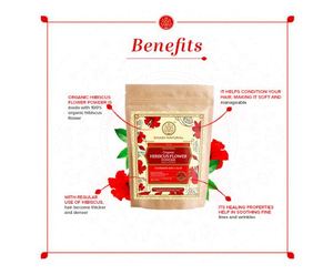 Poudre de fruits bio Khadi Natural Reetha, poudre à base de plantes pour le nettoyage naturel des cheveux, aide à maintenir un cuir chevelu propre - Product Image 4
