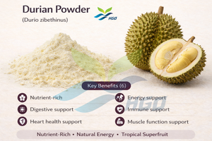 HGO Factory Fourniture directe de poudre de durian naturelle pure (qualité alimentaire) Spécification de poudre de fruits (poudre de fruits ou de légumes) - Product Image 3