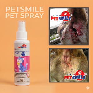 Nano Silver Líquido Ecológico, Protección de 24 Horas, 100ml, Aerosol Veterinario Antibacteriano y Antifúngico para Gatos - Product Image 1