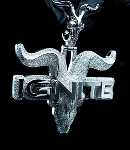 Colgante de Plata 925 con Moissanita Ignite, Diseño Animal, Lujo para Uso Diario, Colgante Hip Hop de Lujo con Incrustaciones para Hombre - Product Image 6