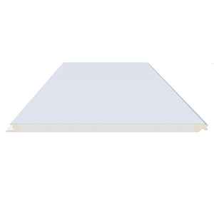 Panel Sándwich Exterior PREXS EPS, Sistema de Aislamiento Térmico Ligero y de Bajo Costo - Product Image 3