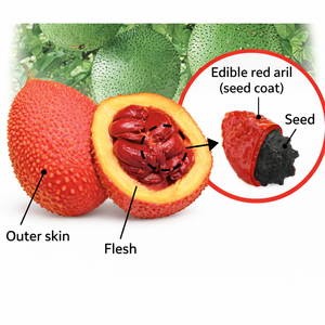 SEMILLAS DE GAC SECAS PREMIUM / NATURALES Y NUTRITIVAS / HECHAS EN VIETNAM / SRA. ALINA - Product Image 3