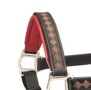 Cabestro de Cuero Genuino para Caballo con Corona Acolchada Suave, Ajustable, de Cuero Premium, Acolchado Multicolor, Herrajes de Latón, OEM - Product Image 3