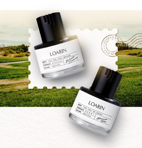 Diffuseur de parfum pour voiture en plastique, bâtonnet désodorisant longue durée, diffuseur d'arômes 120 ml, sans électricité, logo personnalisé - Product Image 1