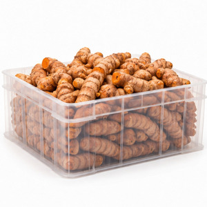 Delicious Vietnam Factory Premium Quality Top Selling Special Offer Whole <b>Fresh</b> Turmeric Customized Packaging - Product Image 2
