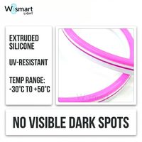 Bande lumineuse LED néon flexible en silicone (SMD2835) étanche IP68, éclairage d'ambiance dimmable pour intérieur et extérieur, usage commercial 5V/12V/220V