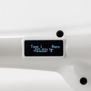 แซกโซโฟนอิเล็กทรอนิกส์แบรนด์ไต้หวัน - Product Image 2