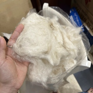 FIBRE DE KAPOK NATURELLE SANS GRAINES DU VIETNAM / FIBRE DE KAPOK VIETNAMIENNE POUR OREILLER À BON PRIX - Product Image 2