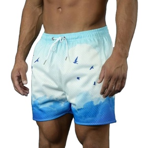 Mens Mesh Sports <b>Shorts</b> Canvas Drawstring 100% Polyester Digital Print Solid Color Breathable <b>Quick</b> <b>Dry</b> Gym Workout - Product Image 1