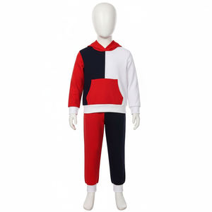 Conjunto Deportivo con Capucha para Niños, Diseño Color Block, Manga Larga, Sudadera y Pantalones Casuales, Corte Regular, Ropa de Otoño, 100% Algodón - Product Image 2