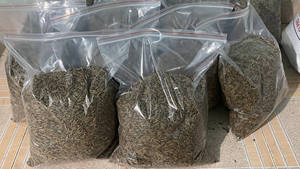 Vente en gros de vers de farine pour aliments pour volailles séchées vers de farine séchés du Vietnam