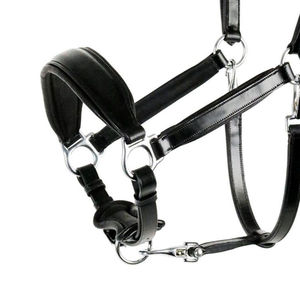 Cabestro de Cuero Premium para Caballo, Estilo Brida, Color Negro, con Herrajes Metálicos - Product Image 6