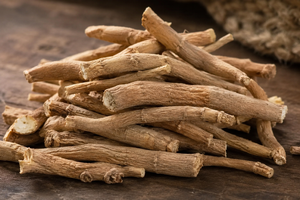Racines d'Ashwagandha en vrac, qualité export, fournisseur en gros, matière première végétale - Product Image 5