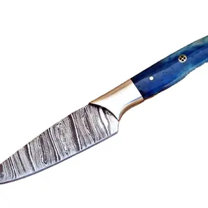 Profession elle 1 Stück Slicer Kochmesser Damaskus Stahl Set Küchen steak messer mit Ledersc heide und blauem Knochen griff