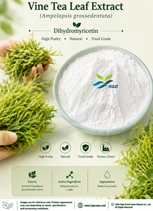 Suministro directo de fábrica HGO de extracto de hoja de té de vid natural puro Ampelopsis grossedentata (grado alimenticio) dihidromiricetina 90% - 98% - Product Image 1