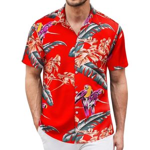 Camisa Casual para Hombre con Estampado Floral de Hibisco Rojo, Manga Corta, Estilo Tropical Isleño, con Botones, Poliéster, Estampado Digital, Camisas Hawaianas - Product Image 4