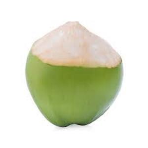 Cocos Verdes Jóvenes de Alta Calidad con Entrega Rápida - Product Image 6